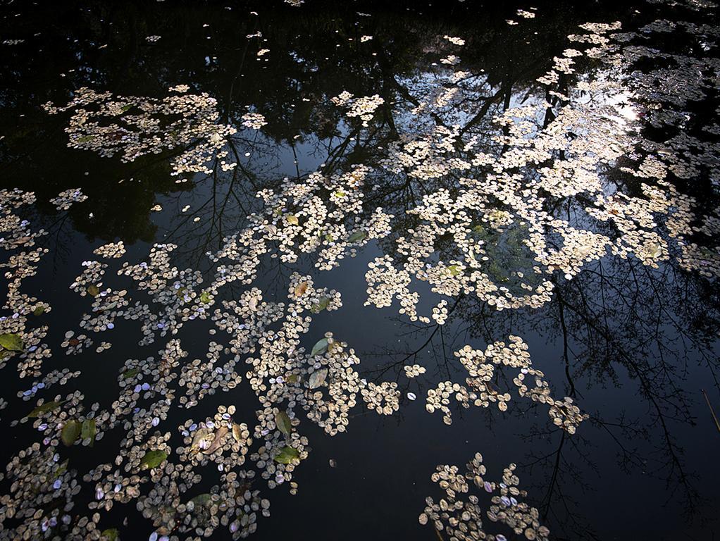 Nanten-En Kawachinagano Exteriör bild
